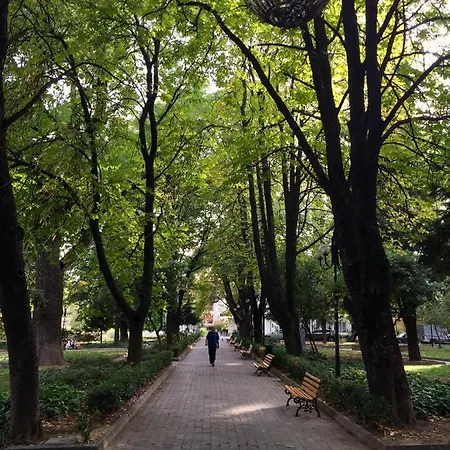 ευελη * Edessa